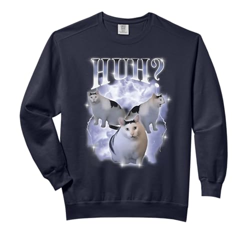 Huh Cat Chonky Ben Meme 90s Silly Cat Specific Thank You Meme Comfort Colors Adult Sweatshirt