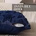 DFXSZ 4th of July Pillow Covers 20x20 inch Set of 2 4th of July Decor Blue Stars Decoration Blue Soft Plush Faux Fur Jacquard Throw Pillows Independence Day Decorations for Home Sofa PTK028A20