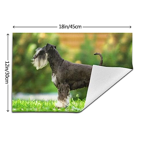 Set de table Schnauzer antidérapant pour table propre et protégée de la chaleur - 4