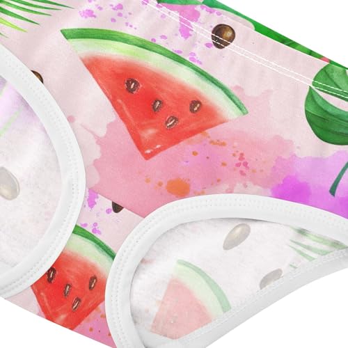 Cotton Girls Underwear Toddlers Watercolor Watermelon Slices Leave Cute Panties Girl Fancy Kids Undies Briefs 2t4