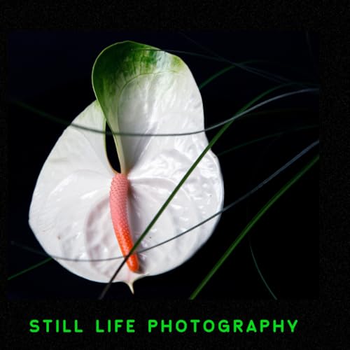 STILL LIFE PHOTOGRAPHY: FLOWERS, FRUITS AND MARINES, COLOR AND BLACK AND WHITE