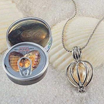 Image of YBN Metal Wish Love Pearl in Oyster Pendant Necklace with Earrings for Girls