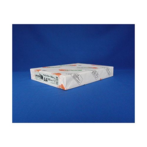 ylʏzi܂Ƃ߁j kzIB NEWt@CJ[ A4 NEW t@CJ[ A4 Cgu[ 500 y×2Zbgz