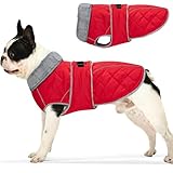 Yoochee Dog Coat, Warm Dog Winter Coat for Medium Dogs, Waterproof Jacket with Adjustable Buckle & Velcro, Reflective Turtleneck Cold Weather Coats, Pet Fleece Vest Snow Jacket (Red, XS)