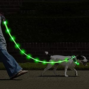 Namsan LED hondenriem met LED hondenhalsband USB oplaadbaar waterdicht veiligheid hondenhalsband voor honden, 3 verlichtingsmodi 20 licht, groen
