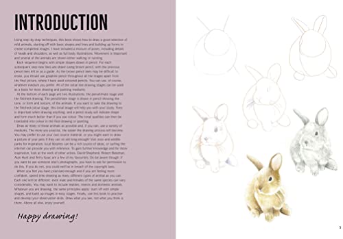 How to Draw: Woodland Animals In Simple Steps Taschenbuch – Illustriert, 22. Mai 2018 - Image 4