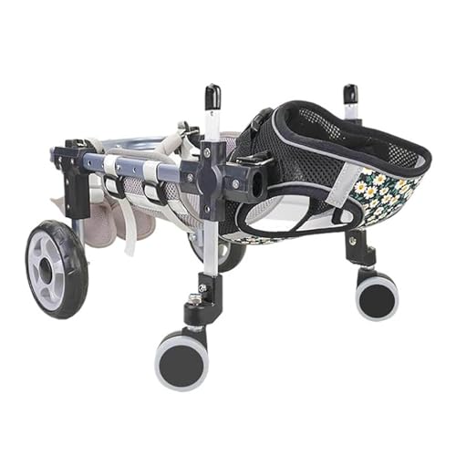 Silla de ruedas para perros con discapacidad física y problemas de movilidad posterior