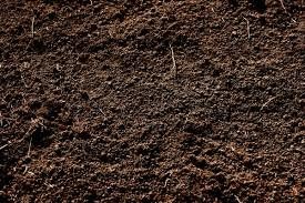 1 Quart Bag Soil Amendment for Live Moss, Lichens, Terrariums