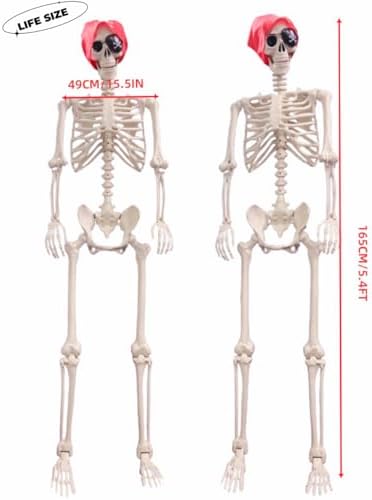 4101GPTQPcL._AC_ Aweilan Halloween Skeleton Life Size Realistic Human Bones with Movable Joints for Halloween Skeleton Prop Decoration 2 Packs