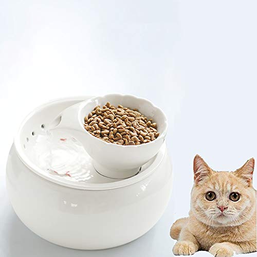10 Best Ceramic Cat Water Fountains of 2022 Cats Fountains