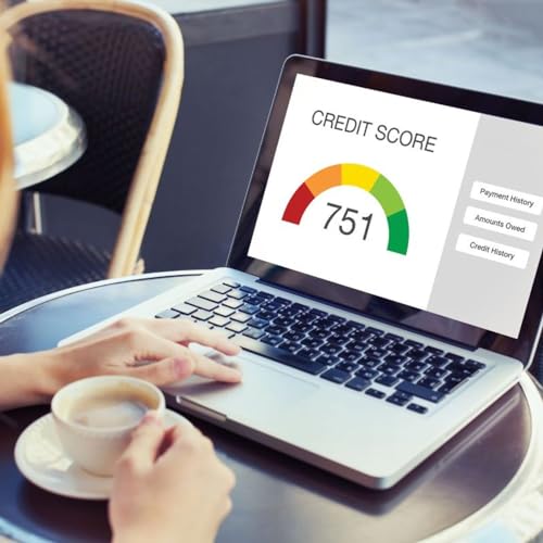 『Alberto Pereira De Souza Junior's Guide to Boosting Your Credit Score』のカバーアート