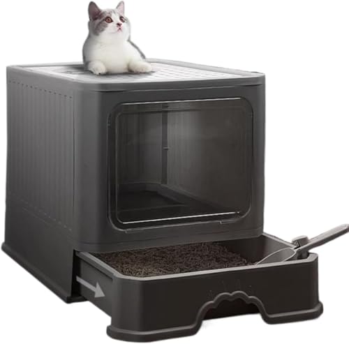 KyokuiLgCh[^CvLpgC{̈ot|ȒP2 WAYo@^LhAt傫TCYӂtюUh~LXTCYSJo[RۖhLjƂgCRpNgLgCO[ (O[)