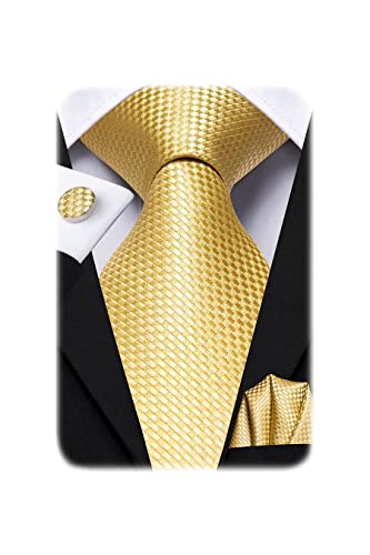Image of Hi-Tie Men Ties Sets Silk Stripe Paisley Necktie Pocket Square Cufflinks for Business Wedding