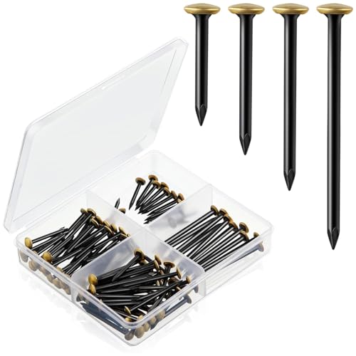 GREATRICH Chiodi Chiodini- Set 120 Chiodi per Quadri (20/25/30/40mm) in Acciaio Inox con Testa Dorata per Cemento/Legno/Cartongesso - Senza Trapano - Con Scatola Organizzatrice