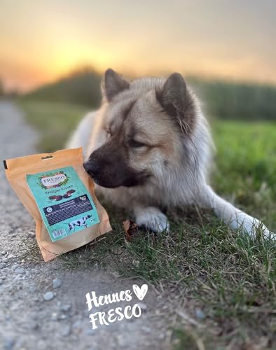 FRESCO Knusper Kissen | 100 g | Veganer Snack für Hunde | Gemüsekissen mit Waldfruchtfüllung | Für eine abwechslungsreichere Ernährung | Knusprige Hülle & fruchtige Füllung