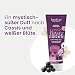Jean & Len Mystische Duschcreme Cassis & Weiße Blüte, reinigt die Haut sanft und schonend, für trockene Haut, sinnlicher Duft nach Cassis und Jasminblüte, ohne Parabene & Silikone, vegan, 250 ml