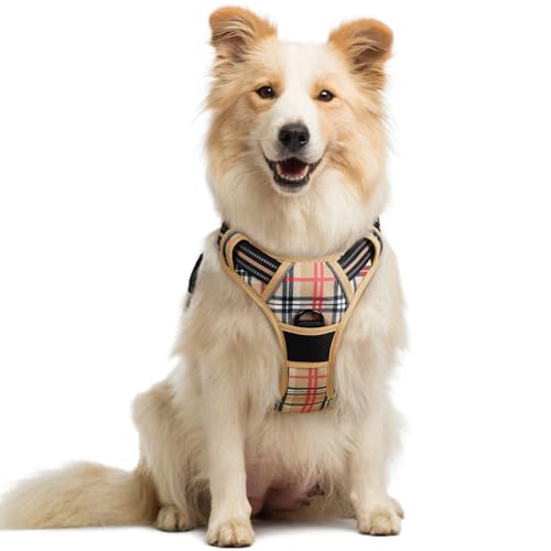Image of rabbitgoo Dog Harness No Pull with 2 Leash Clips, Adjustable Soft Padded, Reflective Oxford No Choke Pet Vest with Easy Control Handle for Medium Sized Dogs, Beige Plaid, M