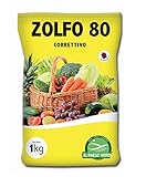vebego crissier Soufre gonflable Vebi Euro Zolfo 80% per Uso Agricolo da 1 kg Bio