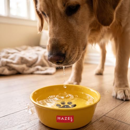 Image of HAZEL Yellow Pet Water Bowl with Paw Print Design for Puppies, Kittens & Small Pets