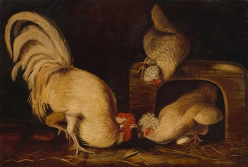 Affiche Toile Poules de basse cour John Audubon reproduction portrait d'art mural 60x90cm