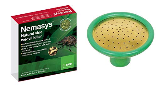 Gardening Naturally Vine Weevil Nematodes 12sqm + Coarse Watering Can Rose Garden Pest Control