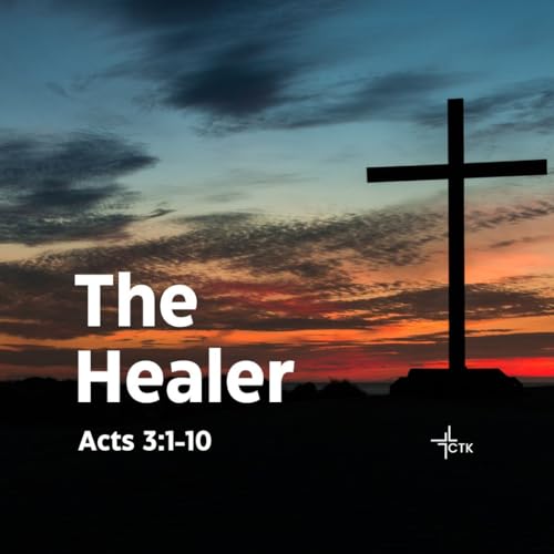 Couverture de The Healer