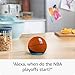 Echo Dot (newest model) | Officially Licensed NBA Limited-Edition