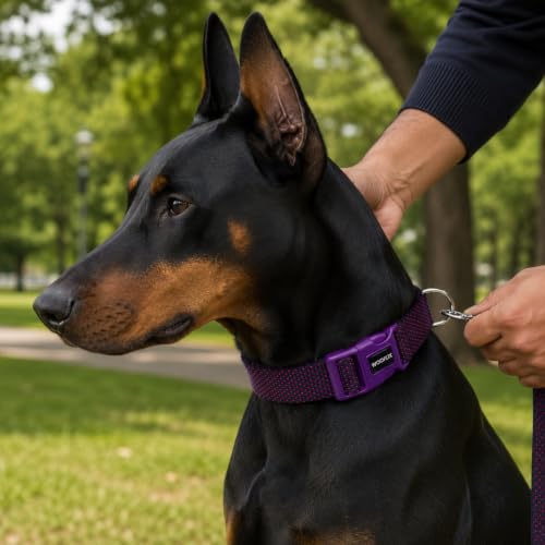 Image of Wooflix Premium Adjustable Dog Collar for Small, Medium & Large Breed Dogs | Heavy Duty Nylon Dog Neck Belt with Strong Buckle & D-Ring for Walking, Training & Daily Use (Purple, Extra Large)