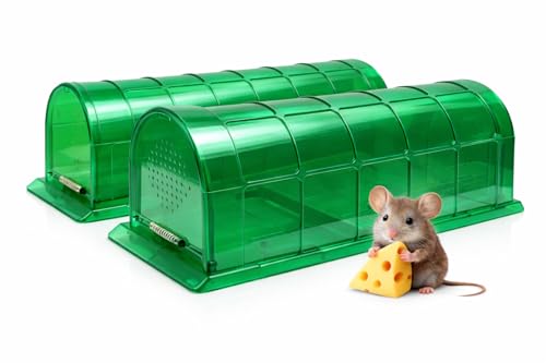 Humane Mouse Trap Indoor for Home Live Catch and Release Rat Trap with Ventilated Chamber 2 Pack Reusable No Kill Mice Trap Outdoor Color: Green