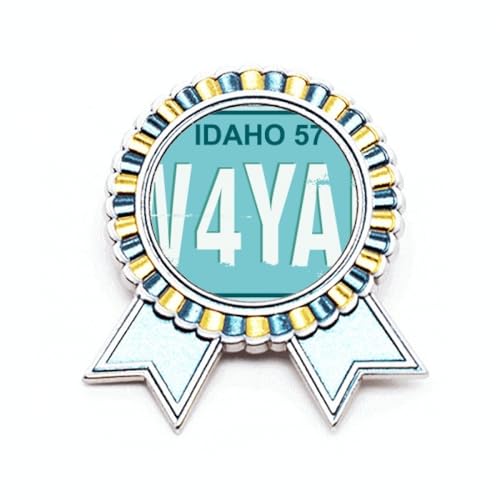 Broche pour plaque USA métal M de qualité supérieure pour passionné d'automobile
