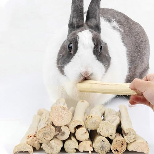 MUYYIKA Sweet Bamboo Chew Sticks Rabbit Toys Molar Treats Snacks for Guinea Pig Chinchilla Hamster Molar Treat Guinea Pig Food Snack Stuff for Clean Teeth - Image 5