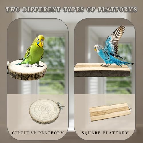 Image of 6 Pcs Medium Bird Perch Set, Natural Wood Bird Perches, Parrot Cage Toys for Cockatiels, Conures, Budgies, and Parakeets, Cage Accessories for Small and Medium Parrots