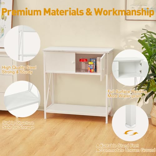 LAQUAL 20-29 Gallon Aquarium Stand with Cabinet, 20 Gallon Long Fish Tank Stand with 31\'\'L * 12\'\'W Tabletop, Double Heavy Metal Stand with Stable Structure, Adjustable Table Feet - White
