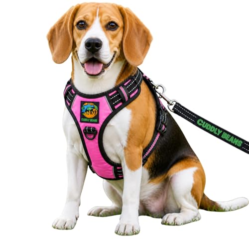 Image of Adjustable Padded Dog Harness with Leash | Comfortable Walking Harness for Dogs | Pink | Size S | Suitable for Dogs 11-15 kg