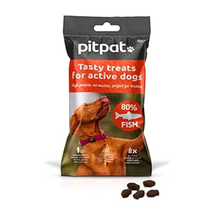 PitPat Dog Treats – 80% fish, grain free recipe, no nasties, perfect for training – 70g bag