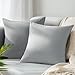 QUORGVES Light Grey Velvet Pillow Covers 22x22 Inch Set of 2, Soft Solid Decorative Square Throw Pillow Covers, Decor Cushion Covers for Bed Sofa Couch Bedroom Living Room - Light Gray