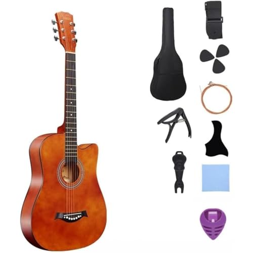 Momgla AR[XeBbNM^[ 10 _Zbg 38 C` EKp wEqElpARMZbg E`[i[t SҍœK (R[q[F)