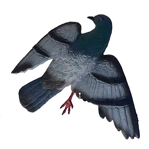 Ketrop FlattyPigeon - Taubenatrappe Cover