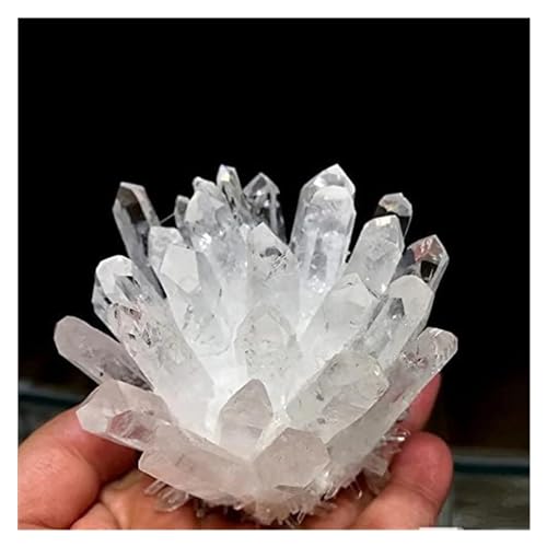 Espécimen de punta de cristal de cuarzo verde premium: pieza de colección única 3