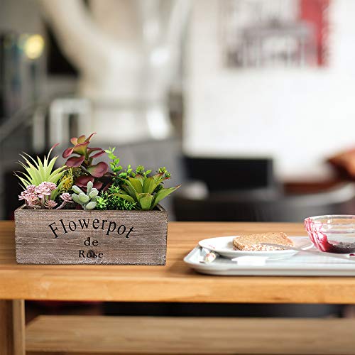 Hopewood Artificial Succulent Plants Arrangement In Wooden Planter,Fake Succulents Plants In Rustic Wood Box,Faux Succulent In Rectangular Pot,Centerpiece,Home Office Shelf Indoordecor Plants #TOP2