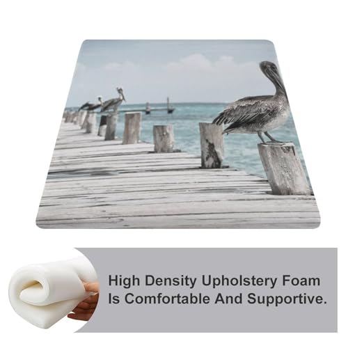 Cojín de silla decorativo de pelícano para terraza acristalada o comedor 4