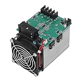 RASTKY Pantalla de Tubo Digital de Alta Temperatura Capacidad de la Batería Probador de Corriente 12 V 250 W Módulo de Monitor de Descarga de Carga Electrónica para Adaptadores de Corriente
