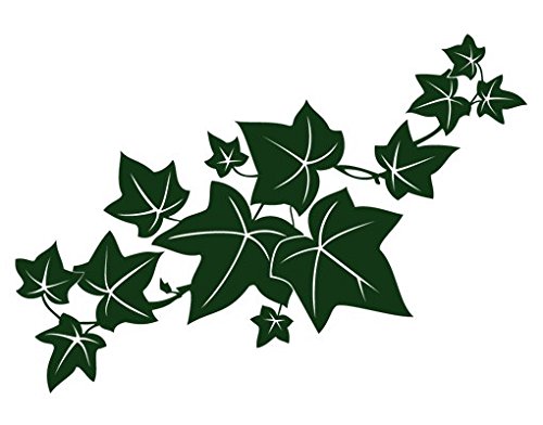 Apalis Wandtattoo No.AS2 Efeu Pflanzen bltter efeu ranken Blumen, Farbe: Schwarz;Gre:28cm x 45cm : Amazon.de: DIY & Tools
