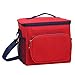 Aoresac Bolsa isotérmica, cesta de comida de 10 l, bolsa de almuerzo aislada con correa ajustable, portátil, bolsa de almuerzo impermeable para escuela, oficina, playa, pícnic, viaje, color rojo