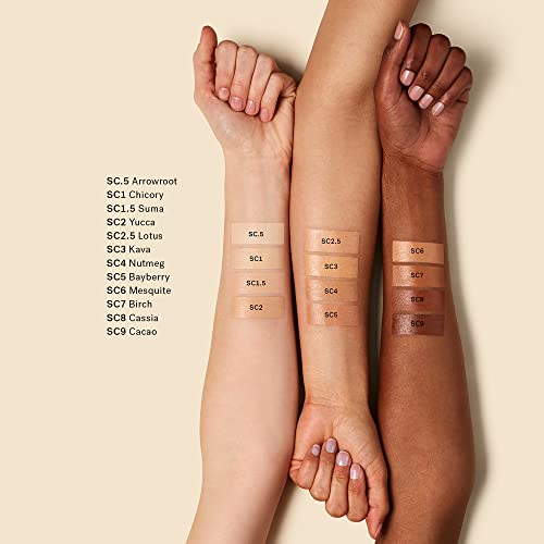 Ilia - True Skin Serum Concealer | Cruelty-Free, Vegan, Clean Beauty (Yucca Sc2) #TOP4