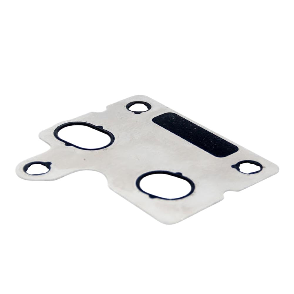 Fuel Pump Gasket 4954473 Compatible with Automotive Motorcycle Parts