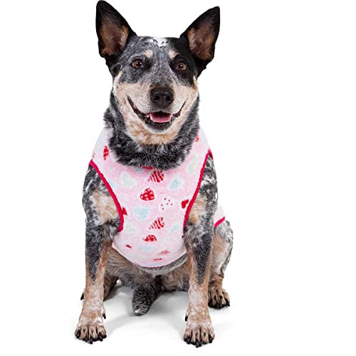 Pickorruchos My Dream Heart Para Cães - Tamanho 0 Rosa