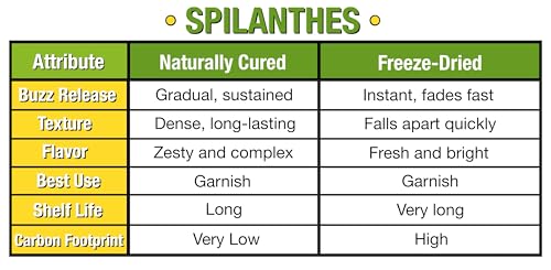 Buzz Buttons aka Spilanthes, Holiday Themed, Naturally Cured Edible Flower Gifts (Electric Love Nuts)