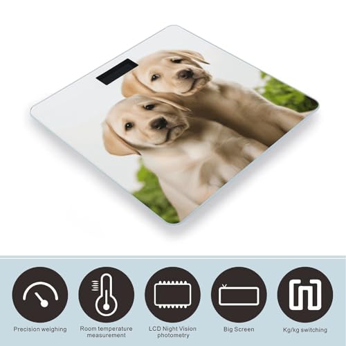 Báscula digital para baño con diseño de cachorro labrador miniatura 3