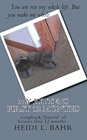 My kittens first 12 months: spcrapbook/questionaire of kiittys first 12 months. 1481967851 Book Cover